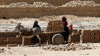 Buruh perempuan mengangkat batu bata merah ke atas kereta yang ditarik keledai di desa Nahrawan, selatan kota Baghdad, Irak (24/6).
