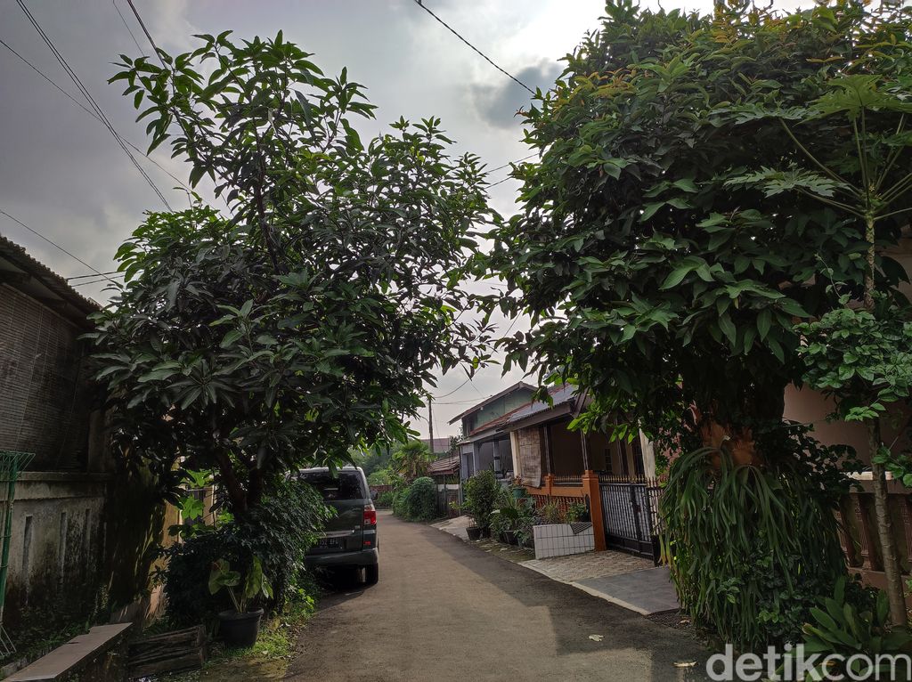 Hasil Kamera Mi 11 Lite