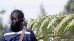 Hujan Abu Merapi Kembali Guyur Sleman