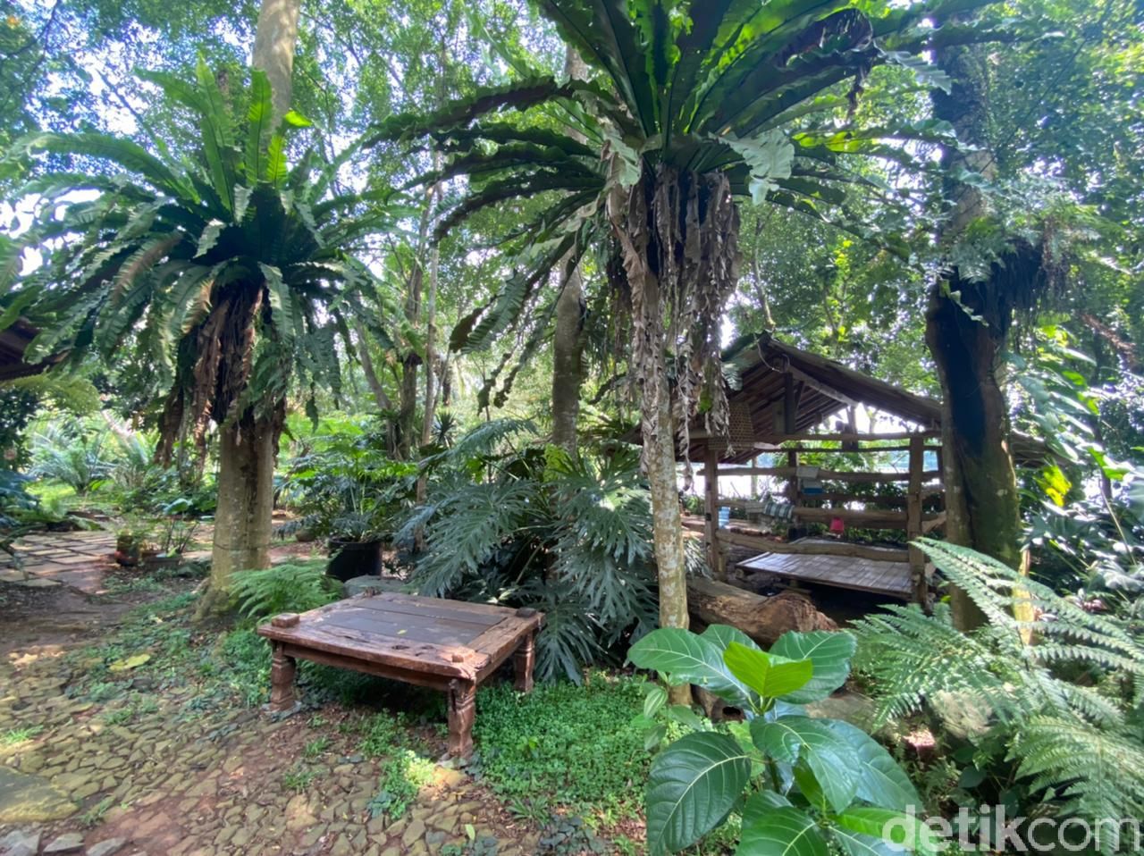Joglo Nusantara: Makan Mi Lethek dan Nasi Liwet di 'Hutan' Pinggir Situ Pengasinan