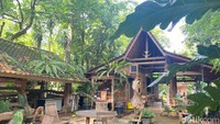 Bagi kamu penggemar suasana asri dan hijau pasti betah berlama-lama di sini.