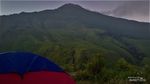 Serunya Trekking di Gunung Pundak, Bahunya Gunung Welirang