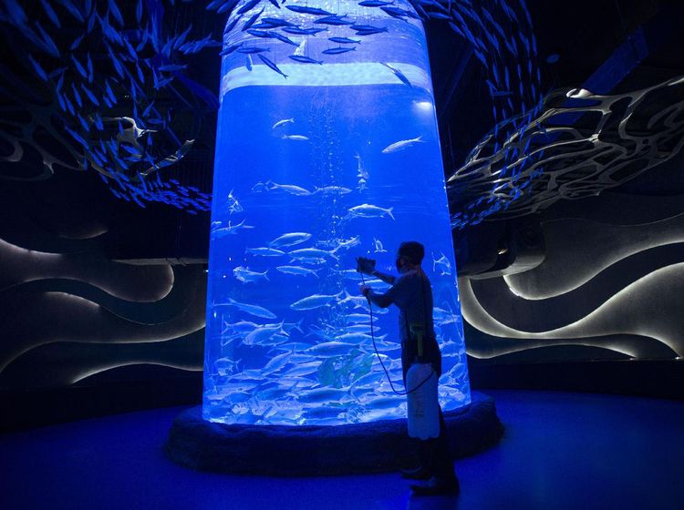 Begini Perawatan Satwa saat PPKM Jakarta Diperketat