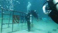 Penanaman terumbuh karang ini dilaksanakan oleh para pegawai BNI yang tergabung dalam BNI HiMovers Dive Community  dengan dan Tim Seasoldier Sulut.