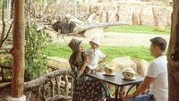 Momen keluarga kecil Shandy Aulia saat menikmati es kelapa muda juga diabadikan. Mereka menikmatinya di kawasan Bali Zoo. Foto: Instagram @shandyaulia