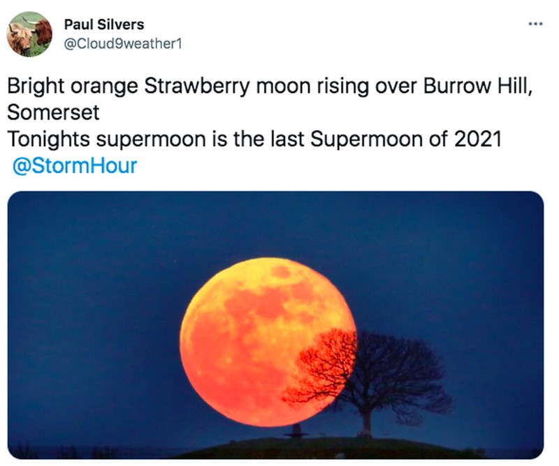 Strawberry Full Moon