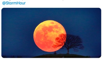 Tampak bulan purnama yang bulat dan indah. Foto: Strawberry Full Moon