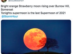 Penampakan Bulan Purnama Stroberi yang Memukau