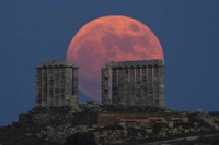 Strawberry Full Moon