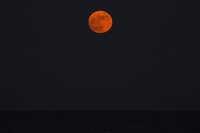 Strawberry Full Moon
