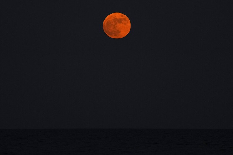 Strawberry Full Moon