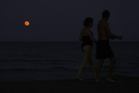 Strawberry Full Moon