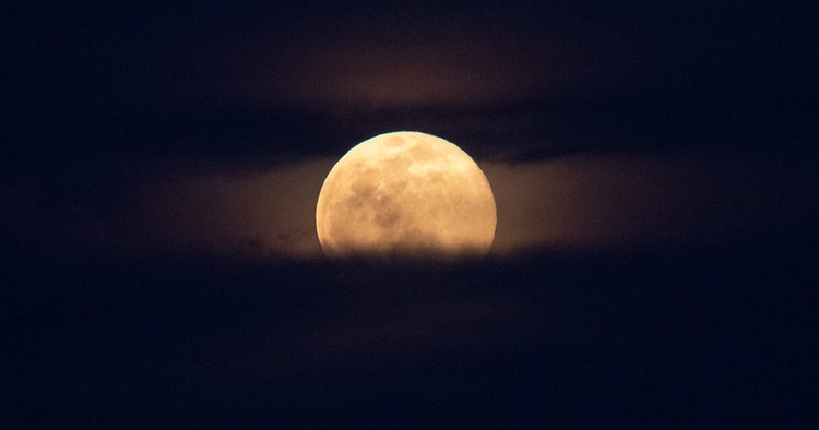 Strawberry Full Moon