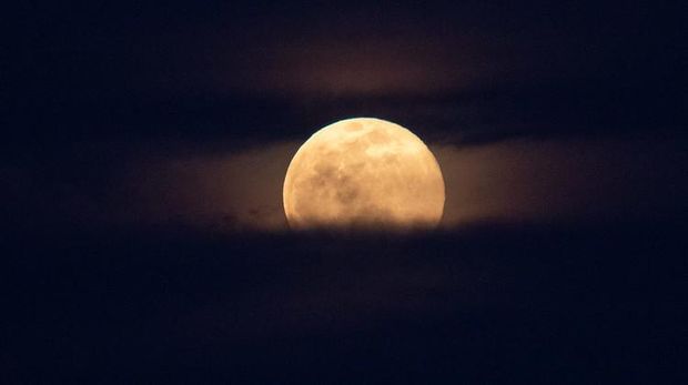 Strawberry Full Moon