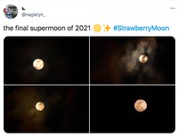 Strawberry Full Moon