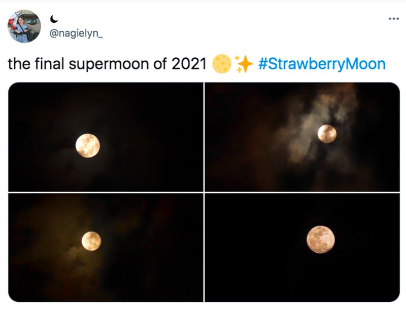 Strawberry Full Moon