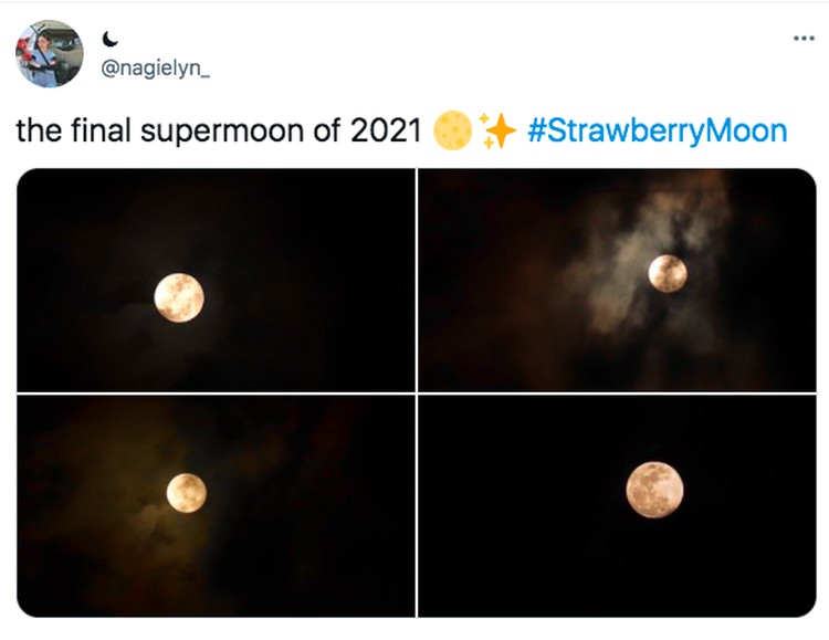 Strawberry Full Moon Strawberry Full Moon