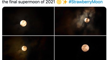 Netizen pun banyak yang mengabadikannya dan mengunggahnya di media sosial. Foto: Strawberry Full Moon