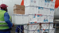 Petugas bandara sedang memasukkan 41 isolation box vaksin Sinopharm ke dalam pesawat di Bandara Pattimura, Ambon untuk diangkut menuju Bandara Babo, Teluk Bintuni, Papua Barat pada Sabtu (12/6/2021).