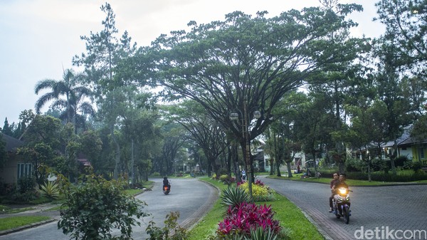 Kami pun mendatangi vila di Cipanas, Cianjur yang sering dijadikan tempat tinggal oleh orang-orang Arab ini. Lokasinya berada di komplek vila Kota Bunga. Kami pun mendatangi vila di Cipanas, Cianjur yang sering dijadikan tempat tinggal oleh orang-orang Arab ini. Lokasinya berada di komplek vila Kota Bunga.