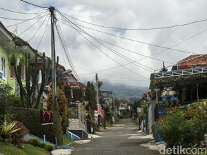 Berapa Tarif Selimut Hidup di Cianjur?