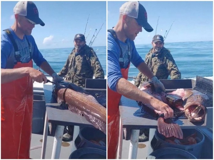 Whiskey dalam Perut Ikan Wow! Di dalam Perut Ikan Jumbo Ini Ada Botol Whiskey Utuh