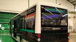 Gantengnya Jetbus Transit Body Monocoque Low Deck Milik Adi Putro