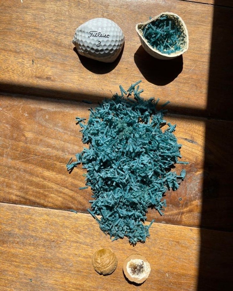 fotoinet penampakan sisi tak terduga