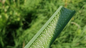 Bagian dalam tanaman ini terlihat seperti susunan batu bata. Foto: Brightside