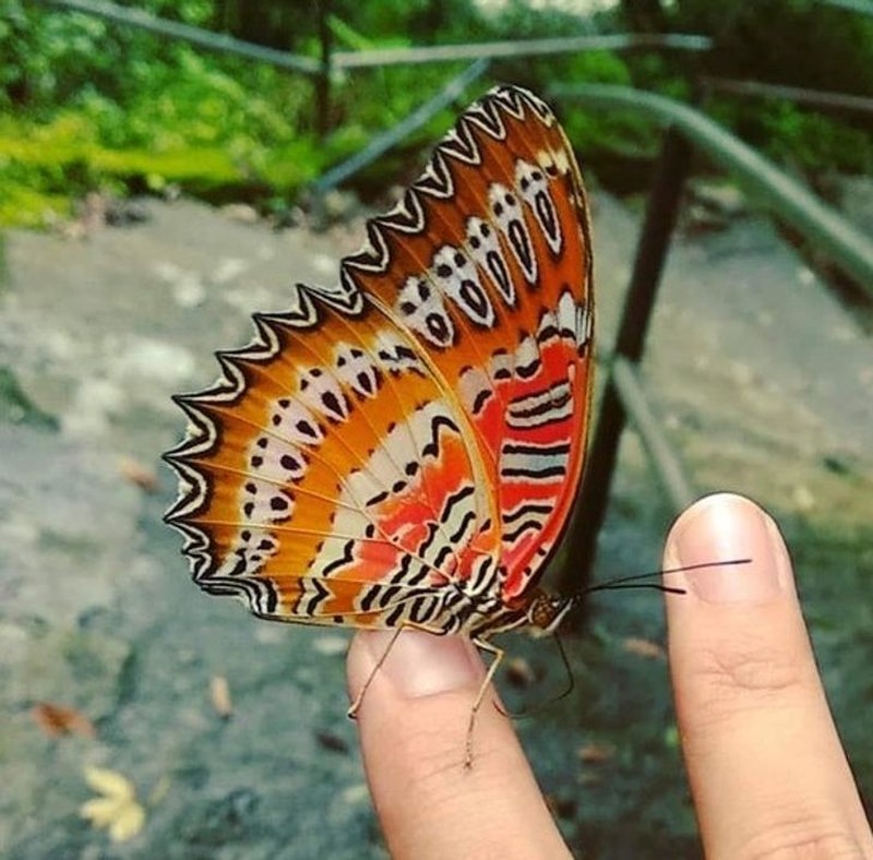 fotoinet penampakan sisi tak terduga