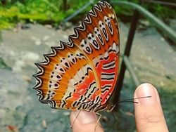 Penampakan Tersembunyi yang Tak Terduga Dari Benda Sekitar