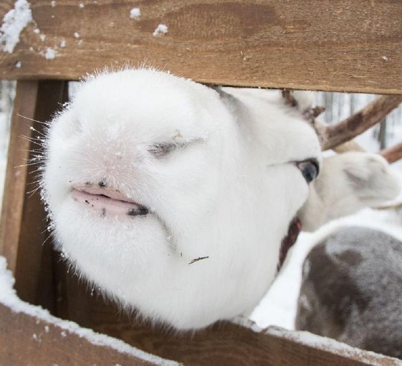 fotoinet penampakan sisi tak terduga