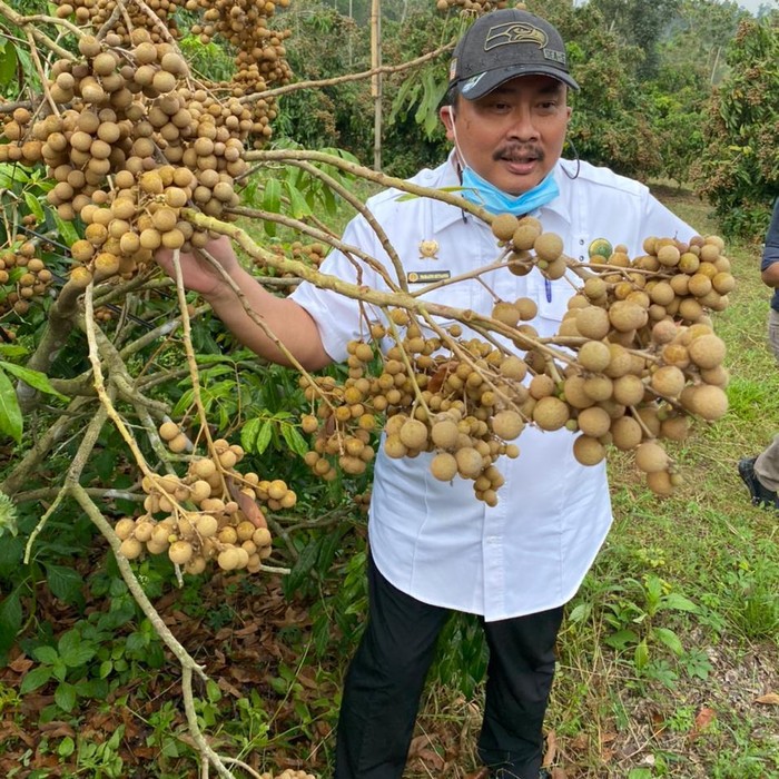 Kampung Kelengkeng