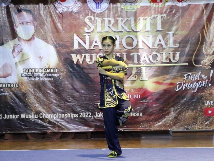 Wushu