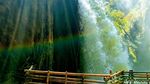 Foto Air Terjun di Bondowoso yang Seperti Ditelan Bumi