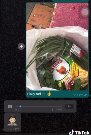 Disuruh beli seekora ayam potong malah beli snack rasa ayam