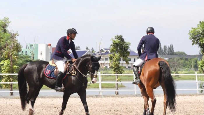 Equinara Horse Sports