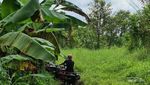 Menyusuri Alam Indah Bali Naik ATV, Seru Banget!