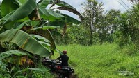Foto: detik