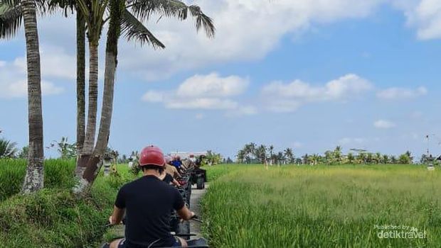 Menyusuri Pedesaan dengan pemandangan padi yang masih hijau