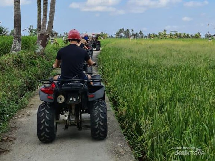 Menyusuri Pedesaan dengan pemandangan padi yang masih hijau
