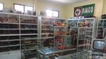 Bahagia Itu Sederhana, Nostalgia Masa Kecil di Museum Mainan Jombang