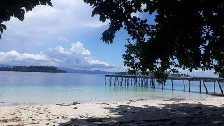 Teluk Cenderawasih Teluk Cenderawasih