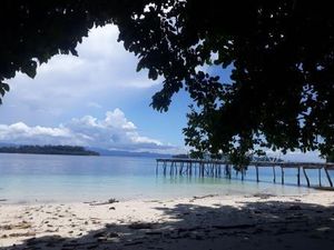 Papua Ingin Sail Teluk Cenderawasih Istimewa dan Tak Hanya Seremonial