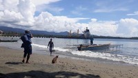 Kawasan Teluk Cenderawasih juga hidup burung elang laut perut putih (Haliaeetus leucogaster) yang memangsa ikan-ikan di sekitar perairan.