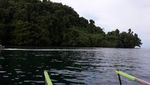 Rupa Secuil Surga dari Teluk Cenderawasih