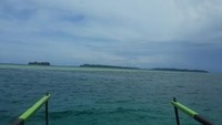 Perairan Taman Nasional Teluk Cenderawasih menjadi habitat hiu paus (Rhincodon typus) atau masyarakat setempat menyebutnya gurano bintang. Ikan ini disebut hiu paus karena termasuk jenis hiu dengan ukuran tubuhnya yang besar.