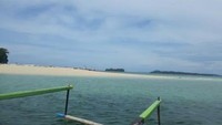 Walaupun termasuk jenis hiu, gurano tidak buas, bahkan cenderung jinak. Gurano memakan plankton, ikan-ikan kecil, udang, cumi-cumi dan telur ikan. Gurano akan menyaring biota laut kecil dengan cara melahap air laut Teluk Cenderawasih.