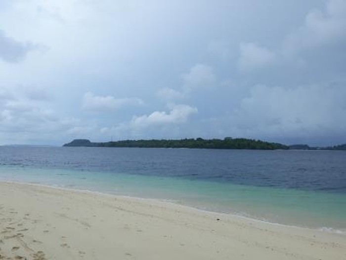 Teluk Cenderawasih Teluk Cenderawasih