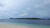 Jumlah hiu paus betina di Teluk Cenderawasih lebih sedikit daripada hiu paus jantan. Larva ikan tuna dari Teluk Cenderawasih dibawa arus dan menetap di terumbu karang hingga Raja Ampat.